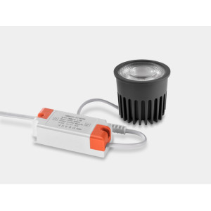 Светодиодный модуль FT01 DL-FT01-12-WW